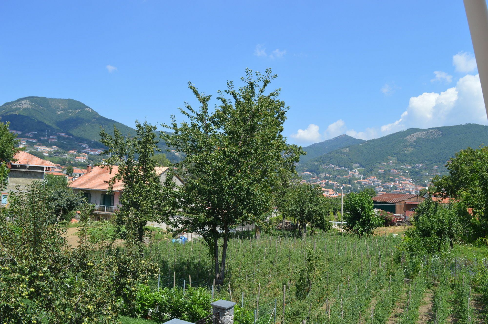 La Casa Dei Fiori - Ospitalita Diffusa Agerola Dış mekan fotoğraf